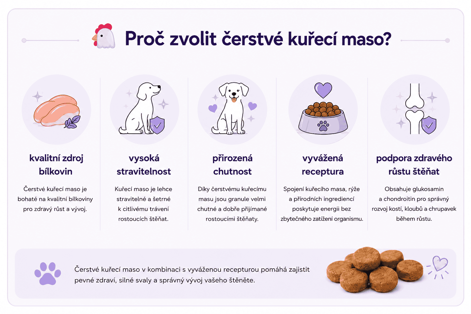 Proč zvolit čerstvé kuřecí maso pro štěňata